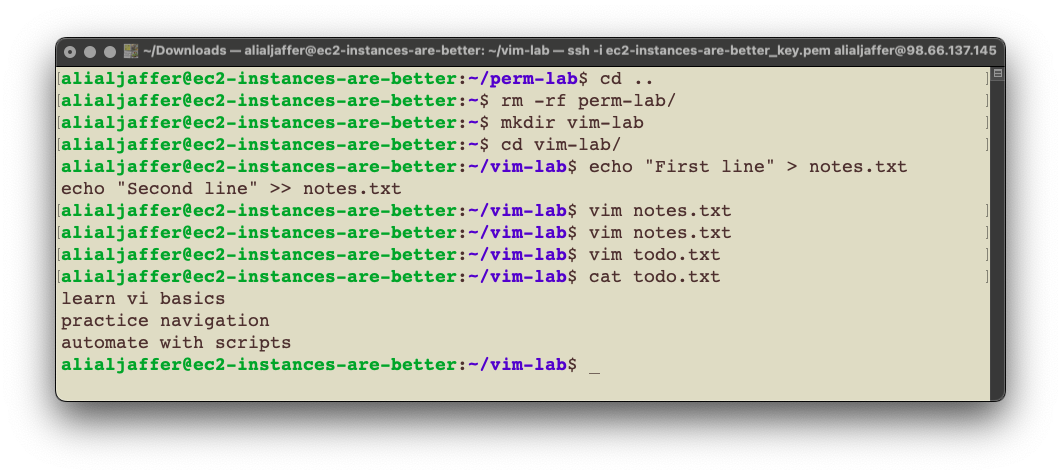 Editing Files with vi / vim