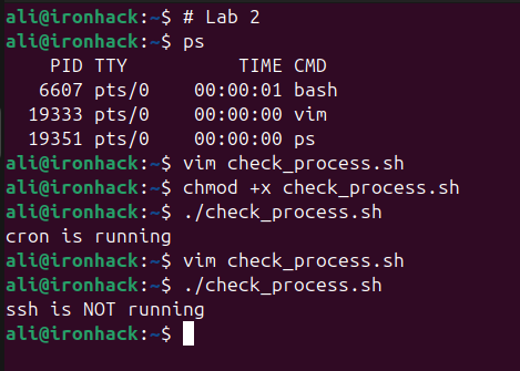 Process Monitoring with Shell Scripting