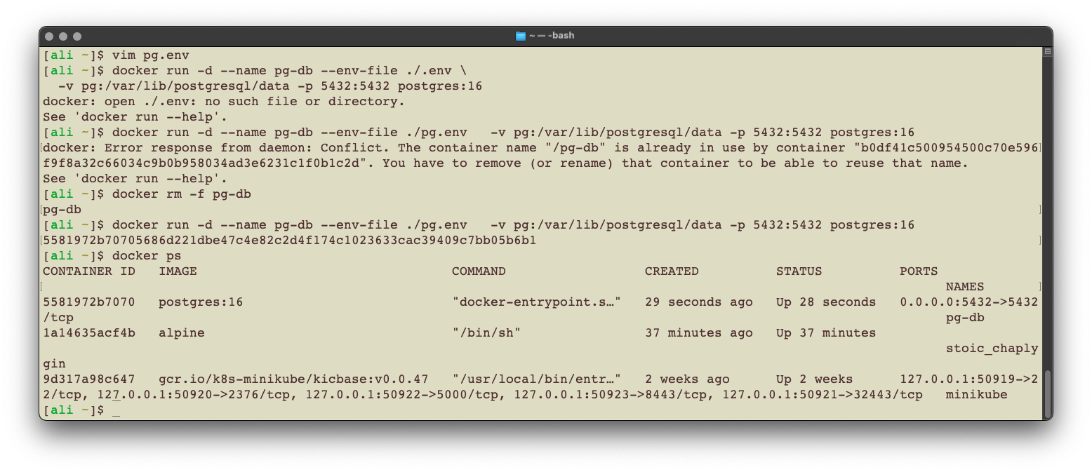 Deploy Standalone PostgreSQL Database with Docker Volumes